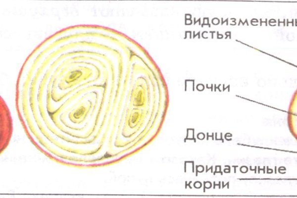 Кракен марихуана